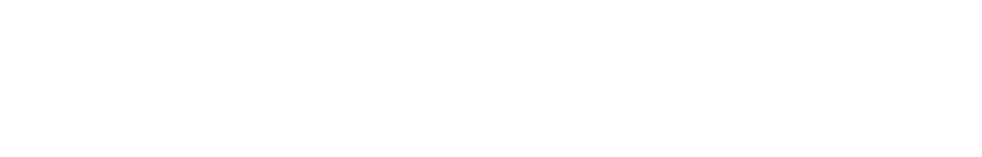 Leandro Systems